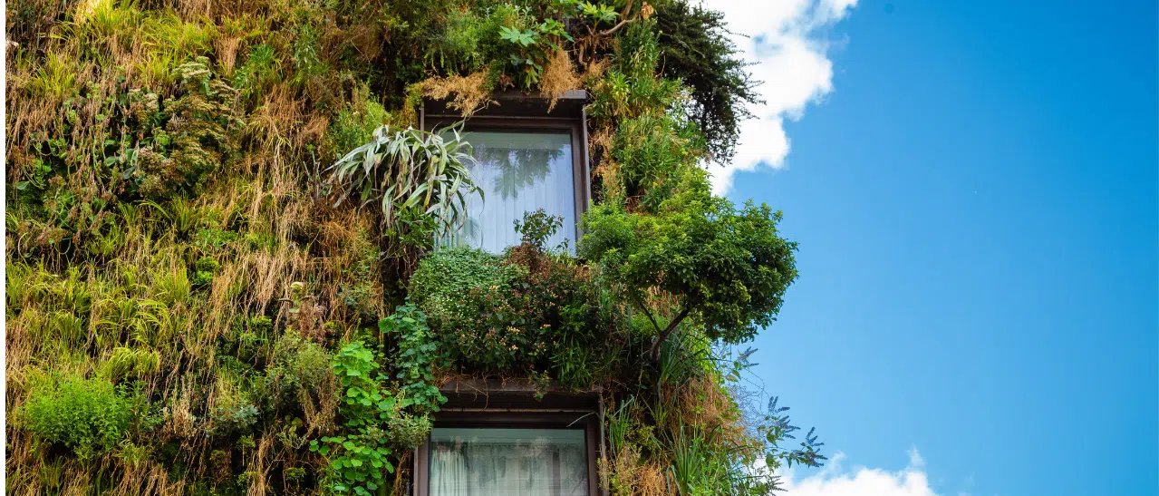Fenster in grüner, pflanzenbewachsener Fassade als Symbol für Nachhaltigkeit im Bau.