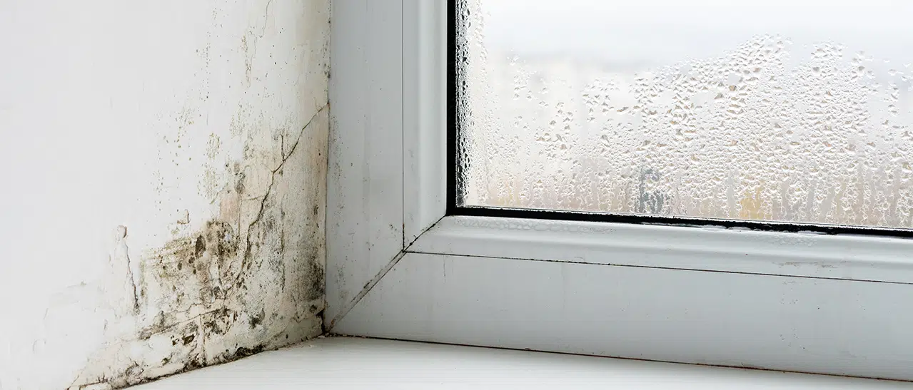 Kondenswasser Fenster - Was hilft gegen schwitzende Fenster?